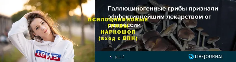 Псилоцибиновые грибы Жигулёвск